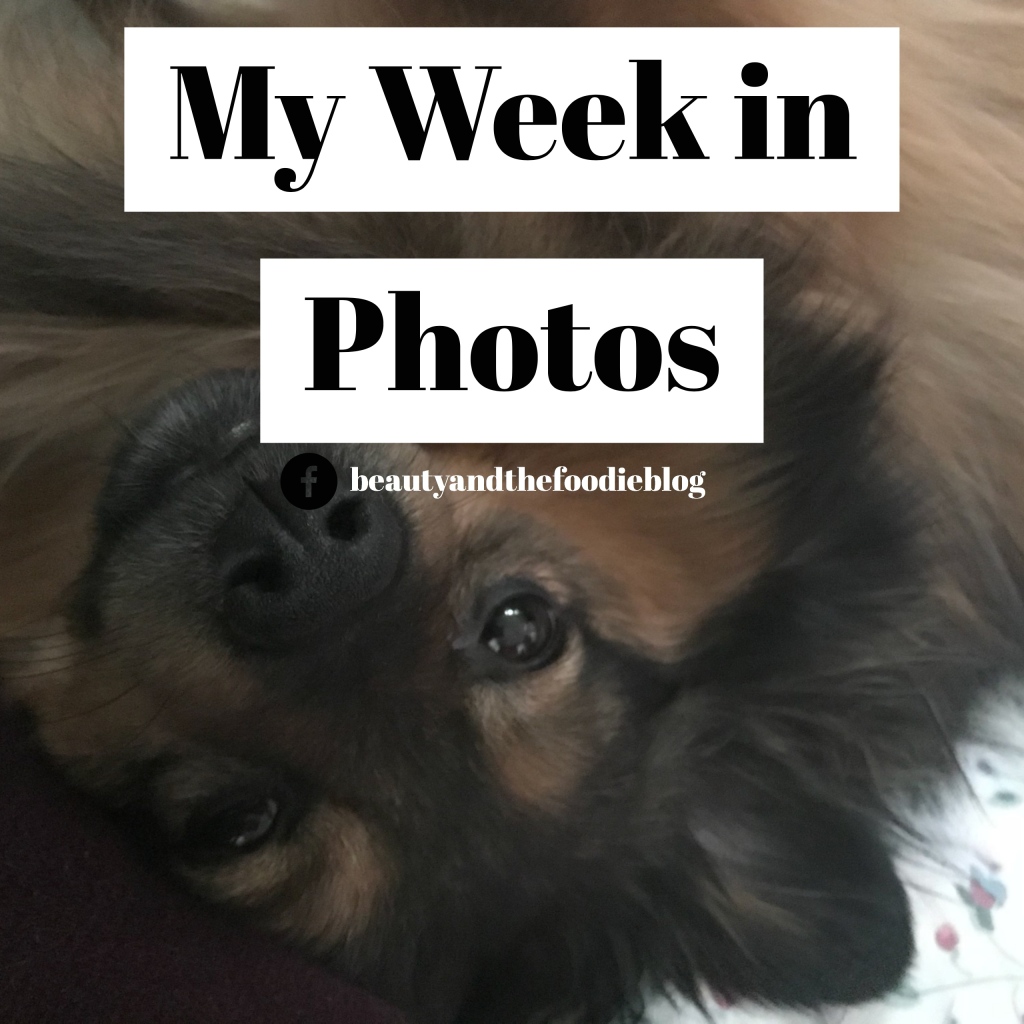 My Week in Photos